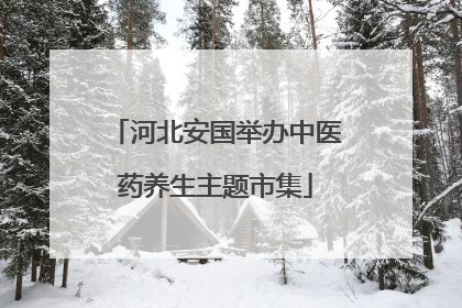 河北安国举办中医药养生主题市集