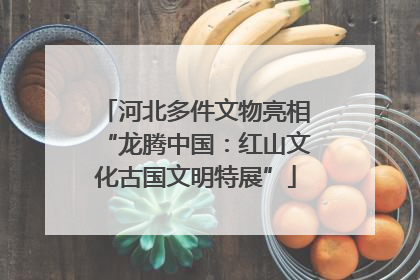 河北多件文物亮相“龙腾中国：红山文化古国文明特展”
