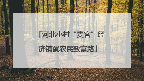 河北小村“麦客”经济铺就农民致富路
