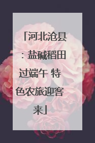 河北沧县：盐碱稻田过端午 特色农旅迎客来