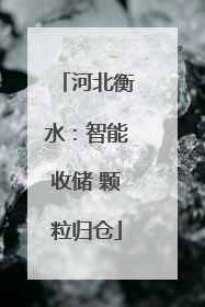 河北衡水：智能收储 颗粒归仓