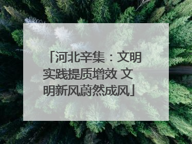 河北辛集：文明实践提质增效 文明新风蔚然成风