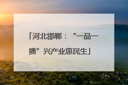 河北邯郸：“一品一播”兴产业惠民生