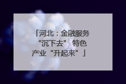 河北：金融服务“沉下去” 特色产业“升起来”