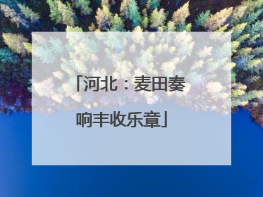 河北：麦田奏响丰收乐章