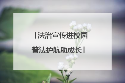法治宣传进校园 普法护航助成长