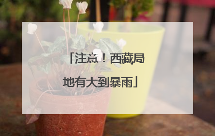 注意！西藏局地有大到暴雨
