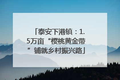 泰安下港镇：1.5万亩“樱桃黄金带”铺就乡村振兴路