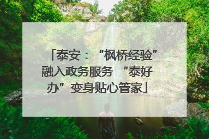 泰安：“枫桥经验”融入政务服务 “泰好办”变身贴心管家