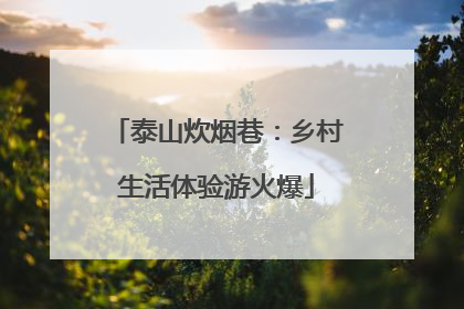 泰山炊烟巷：乡村生活体验游火爆