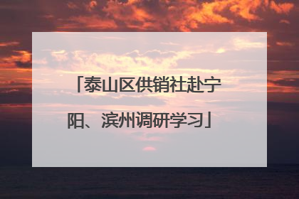 泰山区供销社赴宁阳、滨州调研学习