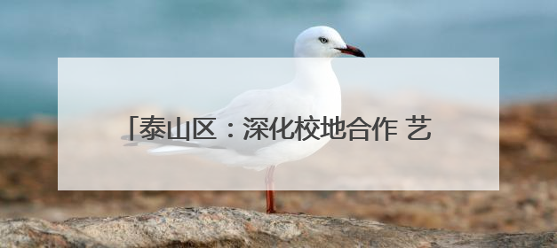 泰山区：深化校地合作 艺术赋能打造“时尚泰山区”