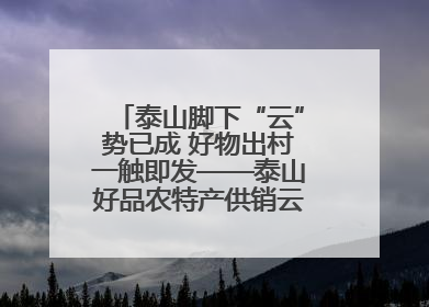 泰山脚下“云”势已成 好物出村一触即发——泰山好品农特产供销云仓即将启用