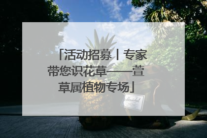 活动招募丨专家带您识花草——萱草属植物专场