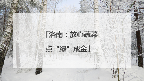 洛南：放心蔬菜点“绿”成金