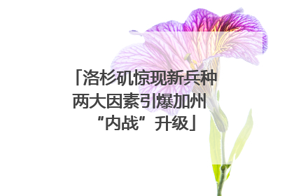 洛杉矶惊现新兵种 两大因素引爆加州“内战”升级