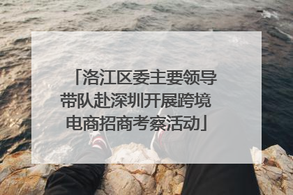洛江区委主要领导带队赴深圳开展跨境电商招商考察活动