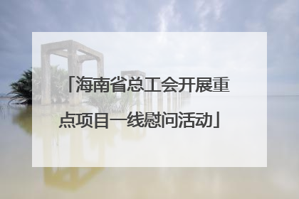 海南省总工会开展重点项目一线慰问活动