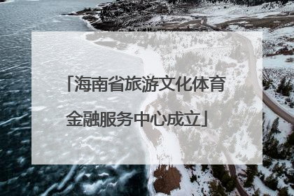 海南省旅游文化体育金融服务中心成立