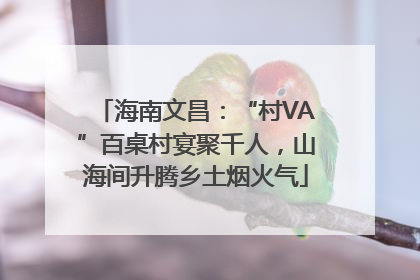 海南文昌：“村VA”百桌村宴聚千人，山海间升腾乡土烟火气