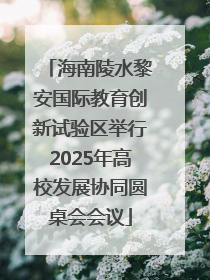 海南陵水黎安国际教育创新试验区举行2025年高校发展协同圆桌会会议