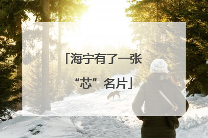 海宁有了一张“芯”名片