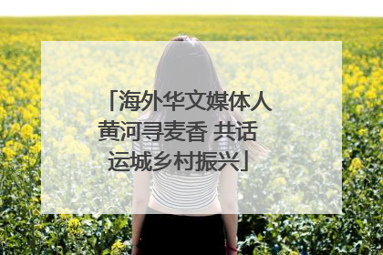 海外华文媒体人黄河寻麦香 共话运城乡村振兴