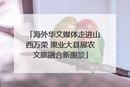 海外华文媒体走进山西万荣 果业大县展农文旅融合新图景