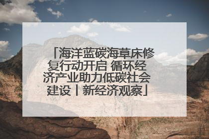 海洋蓝碳海草床修复行动开启 循环经济产业助力低碳社会建设丨新经济观察