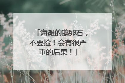 海滩的鹅卵石，不要捡！会有很严重的后果！