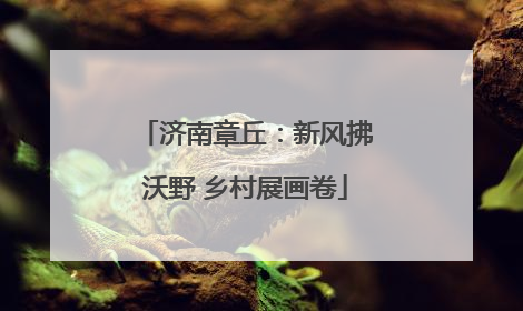 济南章丘：新风拂沃野 乡村展画卷