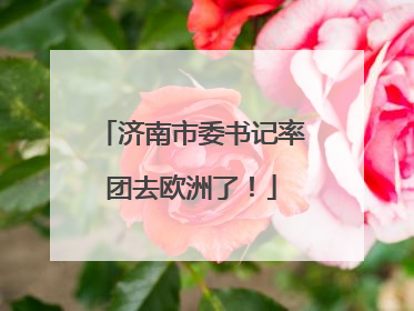济南市委书记率团去欧洲了！