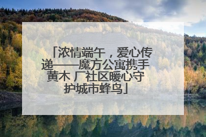 浓情端午，爱心传递——魔方公寓携手黄木 厂社区暖心守护城市蜂鸟