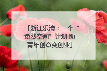 浙江乐清：一个“免费空间”计划 助青年创意变创业