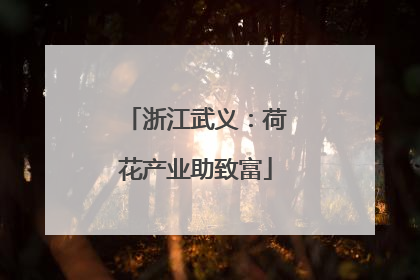浙江武义：荷花产业助致富