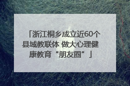 浙江桐乡成立近60个县域教联体 做大心理健康教育“朋友圈”