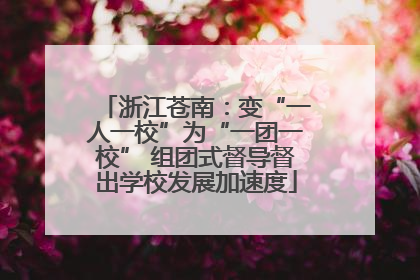 浙江苍南：变“一人一校”为“一团一校” 组团式督导督出学校发展加速度