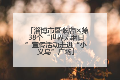 淄博市暨张店区第38个“世界无烟日”宣传活动走进“小义乌”广场