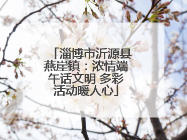 淄博市沂源县燕崖镇：浓情端午话文明 多彩活动暖人心