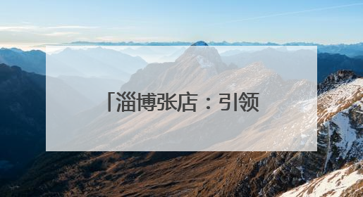 淄博张店：引领工业绿色转型