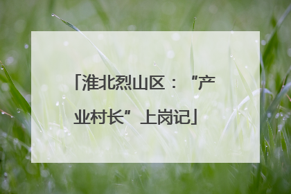 淮北烈山区：“产业村长”上岗记