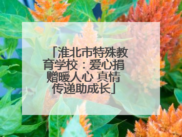 淮北市特殊教育学校：爱心捐赠暖人心 真情传递助成长