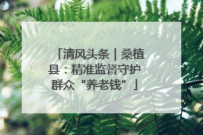 清风头条｜桑植县：精准监督守护群众“养老钱”