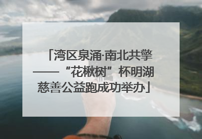 湾区泉涌·南北共擎——“花楸树”杯明湖慈善公益跑成功举办