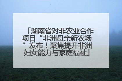 湖南省对非农业合作项目“非洲母亲新农场”发布！聚焦提升非洲妇女能力与家庭福祉