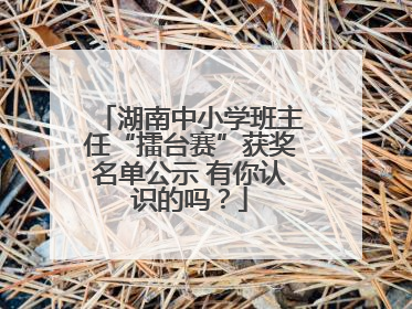 湖南中小学班主任“擂台赛”获奖名单公示 有你认识的吗？