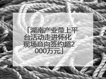湖南产业带上平台活动走进怀化 现场意向签约超2000万元