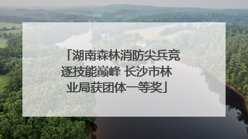 湖南森林消防尖兵竞逐技能巅峰 长沙市林业局获团体一等奖