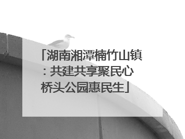 湖南湘潭楠竹山镇：共建共享聚民心 桥头公园惠民生
