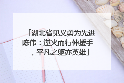 湖北省见义勇为先进陈伟：逆火而行伸援手，平凡之躯亦英雄